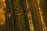 Polished Packsaddle Tiger Eye Slab - Western Australia #163125-2